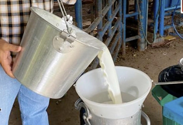 Ganaderos del departamento del Casanare le apuestan a la creación de una cooperativa lechera que les permita mejorar las condiciones de comercialización del alimento y así mismo sus ingresos. Foto: crganaderosyopal.com Cooperativa, leche, Yopal, Feria, doble propósito, Comité de Ganaderos, Cámara de Comercio, Alcaldía, Sena, Organización, acopio, distribución, refrigeración, red de frío, ordeño, bienestar, ingresos, inversiones, Gobernación, regalías, Minagricultura, central de mejoramiento genético, donadoras, Alta genética, aspiraciones, embriones, receptoras, Bancos de Maquinaria, Ganadería, ganadería colombia, noticias ganaderas colombia, CONtexto ganadero