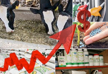 El alza en los precios de los insumos no da tregua por múltiples factores como la escasez de contenedores, los altos precios de los fletes y la tasa de cambio, entre otros. Foto: fedegan.org.co - ticbeat.com - flordeplanta.com.ar - loocalo.com - deganado.com insumos, precios, fletes, contenedores, dólar, tasa de cambio, Comercio, materias primas, transporte fluvial, combustibles, China, Analdex, Pandemia, oferta, demanda, logística, Producción, Unctad, costos, venta al público, rutas, índice mundial de contenedores, inflación, bienes básicos, MinComercio, fenalco, día sin iva, Alimentos, cadena de suministro, Ganadería, ganadería colombia, noticias ganaderas colombia, CONtexto ganadero