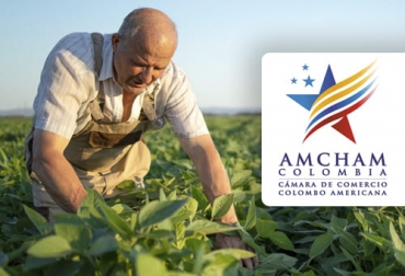 El agro será uno de los principales actores en las relaciones comerciales con Estados Unidos en la próxima década, según un informe de la Cámara de Comercio Colombo Americana, AmCham Colombia. Foto: amchamcolombia.co sector agropecuario, ventas, Colombia, estados unidos, Tratado de Libre Comercio, Amcham Colombia, exportaciones, década, diplomacia asertiva, política comercial, mercado, Competitividad, apuestas productivas, Café, flores, banano, azucar, confitería, aguacate hass, naranjas frescas, harina en polvo, agua mineral, margarina, helados, frutas, nueces, maíz, trucha, jabones, extractos vegetales, carne bovina, Ganadería, ganadería colombia, noticias ganaderas colombia, CONtexto ganadero