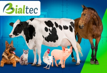 Bialtec fue una de las empresas ganadoras del concurso AGStar ‘Las estrellas del agro’ que se desarrolló en Expo Agrofuturo, por su innovación. Foto: bialtec.co Expo Agrofuturo, emprendimientos, ganadores, AGStar, estrellas del agro, AgTech, FoodTech, AnimalTech, Genética, ganadería inteligente, crianza de precisión, comercialización, innovación, soluciones, Cambio climático, Bialtec, Sosty, nutrición animal, San Pedro de Los Milagros, Antioquia, laboratorios, aditivos, carne libre de antibióticos, biodiversidad, ganadería colaborativa, Ganadería, ganadería colombia, noticias ganaderas colombia, CONtexto ganadero