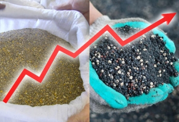 Los fertilizantes y alimentos concentrados mantendrán su tendencia al alza a nivel internacional por diversos factores como el precio de los combustibles y las materias primas. Foto: ecologiaverde.com - free3d.com - sofoval.com alimentos concentrados, fertilizantes, precios, insumos, materias primas, maíz, soya, paro nacional, logística, puertos, combustibles, productividad, oferta, demanda, producción de leche, reproducción, preñez, condición corporal, forraje, suplementar, Genética, vacas, Ganadería, ganadería colombia, noticias ganaderas colombia, CONtexto ganadero