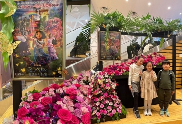 “Queremos que más personas prefieran nuestras flores, pero que también las consuman más frecuentemente, señaló Augusto Solano, presidente de Asocolflores. Fotos: Asocolflores Flores colombianas en Corea y Japón, Asocolflores, Augusto Solano, Encanto, película de Disney “Encanto”, vacas, vacas Colombia, lechería, bovinos, ganadería bovina, ganadería bovina Colombia, noticias ganaderas, noticias ganaderas Colombia, contextoganadero