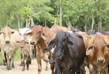 Foto: larazon.co