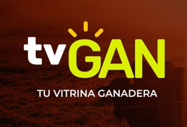 TVGan estrena imagen en la que busca estar más cerca de los ganaderos y ofrecerle nuevos y variados servicios pensando en su bienestar. Foto: Cortesía TVGAN, vitrina ganadera, Imagen, Servicios, comercialización, ganado, remates, televisión, fedegan, TvAgro, redes sociales, plataforma, ventas, subastas digitales streaming, Ganadería, ganadería colombia, noticias ganaderas colombia, CONtexto ganadero