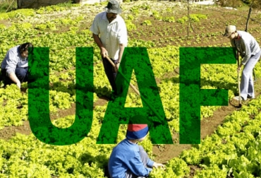Con unidades críticas homogéneas a escala municipal se va a calcular en adelante la Unidad Agrícola Familiar (UAF), de acuerdo con la nueva metodología aprobada. Foto: actaproyecciones.wordpress.com unidad agrícola familiar, UAF, Metodología, unidades críticas homogéneas, escala municipal, condiciones productivas, económicas, predios, necesidades operativas, ordenamiento social de la propiedad, Agencia Nacional de Tierras, UPRA, Minagricultura, información, territorio, modelo cartográfico, Vivienda Rural, economía del cuidado, infraestructura productiva agropecuaria, conservación de ecosistemas, Ganadería, ganadería colombia, noticias ganaderas colombia, CONtexto ganadero