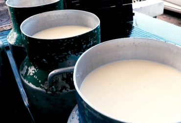 Dos de las grandes zonas lecheras del país, como son Nariño y Caquetá ya cuentan con sus respectivos clúster para trabajar de manera mancomunada en beneficio del sector. Foto: Captura de pantalla del video youtube.com/watch?v=Jzdf5Xk-hEg del canal de youtube Cluster Carnico de Nariño clúster lácteo, Nariño, caquetá, producción de leche, transformación, queso, Cámara de Comercio, inventario bovino, Cuencas lecheras, proyectos, acciones, empresarios, Universidades, gobierno, gremios, instituciones, productividad, Competitividad, rentabilidad, Ganadería, ganadería colombia, noticias ganaderas colombia, CONtexto ganadero