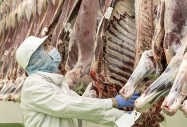 El beneficio de ganado bovino para consumo interno no repunta, mientras que el de exportación ha subido más de 56 %. Foto: diariodelhuila.com sacrificio bovino 2021, sacrificio octubre 2021, sacrificio ganado Colombia octubre 2021, Cifras sacrificio ganado bovino 2021, Sacrificio de ganado 2021, cifras sacrificio, sacrificio legal de bovinos, ganado bovino, ganadería bovina, carne, leche, ganaderos, ganaderos colombia, ganado, vacas, vacas Colombia, bovinos, Ganadería, ganadería colombia, noticias ganaderas, noticias ganaderas colombia, CONtexto ganadero, contextoganadero