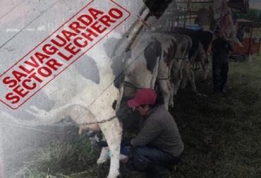 La decisión de la Triple A desconoció los argumentos de los productores lecheros nacionales.Foto: diariodelhuila.com - ungoti.com TLC, Estados Unidos, Salvaguardia, Fedegán, Triple A, Retaliación, compensación, Augura, Federación Nacional de Cafeteros, leche, leche en polvo, importaciones, importaciones de Estadios Unidos, vacas, vacas Colombia, lechería, bovinos, ganadería bovina, ganadería bovina Colombia, noticias ganaderas, noticias ganaderas Colombia, contextoganadero