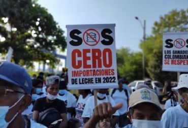 Foto: Cortesía Ganadería, ganadería colombia, noticias ganaderas, noticias ganaderas colombia, CONtexto ganadero, leche, leche en polvo, industria procesadora de leche, importaciones, importaciones de leche de EE. UU., TLC, TLC firmado con Estados Unidos, movilización ganadera, Ganaderos rechaza importaciones de leche en polvo, triple A, ganaderos se congregan en la Sociedad Portuaria Regional de Cartagena, vacas, fedegan, vacas Colombia, lechería, bovinos, ganadería bovina, ganadería bovina Colombia