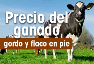 Foto: contextoganadero.com