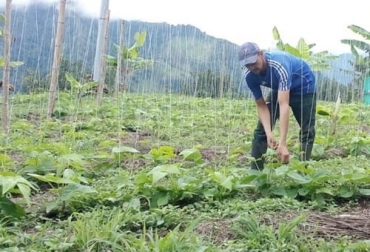 Con la sanción de la ley de insumos agropecuarios se espera contribuir a la reducción de los costos de producción y a que se pueda ser más competitivo. Foto: opinioncaribe.com ley, insumos agropecuarios, Minagricultura, Costos de Producción, productores, arancel, importaciones, contenedores, precios, logística, tasa de cambio, fondo, uso, fertilizantes, abonos, Medio Ambiente, utilidades, Banco Agrario, Presupuesto General, financiación, apoyos, Producción, transporte, almacenamiento, competitivo, racional, sostenible, Observatorio, mercado, información, bioinsumos, incentivos, Ganadería, ganadería colombia, noticias ganaderas colombia, CONtexto ganadero