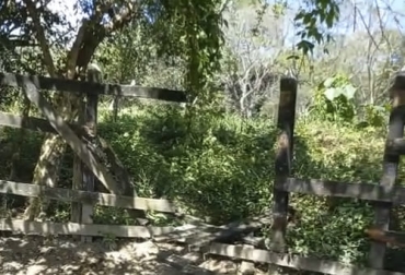 El corral de la Hacienda El Caney muestra la forma como los delincuentes entraron para hurtar el ganado de esta finca de alto valor genético. Foto: Cortesía Robo, ganado, Santafe de Antioquia, delincuencia, El Caney, Corral, vacas élite, F1, calidad, preñadas, embrión, Brahman Rojo, alto valor genético, embarcadero, camiones, turismo, Ganadería, ganadería colombia, noticias ganaderas colombia, CONtexto ganadero
