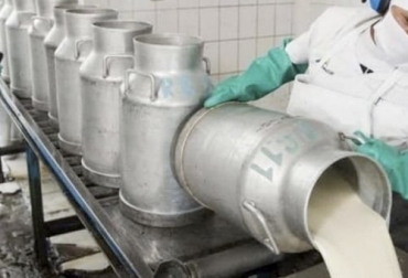 La compra de leche por parte de agentes formales disminuyó frente a lo alcanzado en 2020, pero el precio nominal tuvo un crecimiento notable en los últimos dos meses. Foto: elchubut.com.ar Acopio 2021, acopio formal leche 2021, leche Colombia, compra leche, Acopio leche 2021 Colombia, producción leche, Acopio formal leche Colombia 2021, recolección de leche en Colombia, producción leche Colombia 2021, precio leche cruda Colombia 2021, precio pagado al productor 2021, ganado bovino, ganadería bovina, carne, leche, ganaderos, ganaderos colombia, ganado, vacas, vacas Colombia, bovinos, Ganadería, ganadería colombia, noticias ganaderas, noticias ganaderas colombia, CONtexto ganadero, contextogana