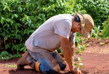 Según Bancolombia la inflación de alimentos puede seguir alta por el comportamiento de los insumos importados que se mantendrán con precios altos y por el mismo comportamiento del dólar. Foto: bancolombia.com Bancolombia, sector agropecuario, PIB, inflación, Alimentos, oferta, demanda, mercado internacional, fertilizantes, logística, insumos, contenedores, fletes, importadores, materias primas, precios, alimento balanceado, úrea, pollo, huevo, carne, canal, ganado en pie, cerdo, Costos de Producción, maíz, soya, leche, Ganadería, ganadería colombia, noticias ganaderas colombia, CONtexto ganadero