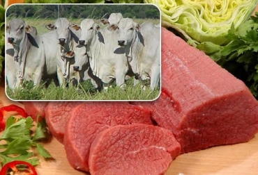 Rusia es el principal comprador de carne colombiana actualmente. Foto: pruebasdxculiacan.esy.es. Ganadería, ganadería colombia, noticias ganaderas, noticias ganaderas colombia, CONtexto ganadero, guerra ucrania y rusia, rusia, guerra rusia, fertilizantes rusia, urea rusia, exportaciones urea rusia, exportaciones urea ucrania, CONSA, precio de los alimentos en colombia