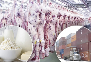 Por lo menos, alrededor de 40 empresas importaron directamente productos lácteos y cárnicos que superaron las 70 mil toneladas. Foto: sonoranbusinesssensor.com - elheraldo.co - eluniverso.com empresas importadoras, empresas importadoras de lácteos, empresas importadores de carne, Importaciones lácteos empresas 2021, importaciones leche polvo Colombia 2021, cifras importaciones lácteos colombia, importaciones industria, ganado bovino, ganadería bovina, carne, leche, ganaderos, ganaderos colombia, ganado, vacas, vacas Colombia, bovinos, Ganadería, ganadería colombia, noticias ganaderas, noticias ganaderas colombia, CONtexto ganadero, contextoganadero