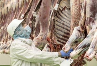 El sacrificio de bovinos para exportación y de búfalos alcanzaron récords pero el de consumo interno sigue bajando. Foto: diariodelhuila.com sacrificio 2021, Sacrificio ganado vacuno cuatro trimestre 2021, sacrificio ganado bovino 2021, sacrificio bovino 2021, sacrificio diciembre 2021, sacrificio ganado Colombia septiembre 2021, Cifras sacrificio ganado bovino 2021, Sacrificio de ganado 2021, cifras sacrificio, sacrificio legal de bovinos, ganado bovino, ganadería bovina, carne, leche, ganaderos, ganaderos colombia, ganado, vacas, vacas Colombia, bovinos, Ganadería, ganadería colombia, noticias ganaderas, noticias ganaderas colombia, CONtexto g