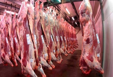 En enero se enviaron 3.364 toneladas de carne y despojos, cifra muy similar a la de 2021, que llegó a las 3.366. Foto: eleconomistaamerica.co exportaciones carne colombia