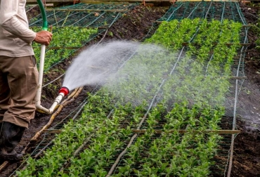 El alto costo de los insumos afectaría la canasta familiar. Foto: El Colombiano. precio insumos sac
