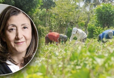 Para la candidata presidencial, existe una posibilidad de crear un programa de producción agrícola captores de dióxido de carbono y así vender créditos carbonos. Foto: semana.com - minagricultura.gov.co Ingrid Betancourt propuestas sector agropecuario