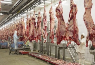 Una auditoría de las autoridades sanitarias de EEUU vendrá a Colombia para avanzar en el proceso de exportación de carne al mercado norteamericano. Foto: ica.gov.co Auditorái de Estados Unidos