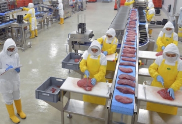 Panamá podrá empezar a exportar carne a Estados Unidos luego de cumplir con los requisitos impuestos por ese país. Foto: actualidadganadera.com Frigorífico de Panamá