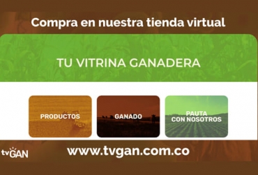 Las compras por internet a través de la página de TVGan sirven para adquirir lo que se necesita en cualquier momento y a domicilio. Foto: Cortesía Publicidad compras por internet en TVGan