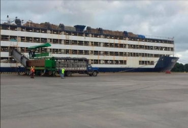 “Exportaremos 9.300 machos a Egipto, el próximo 18 de mayo de 2022 que zarparán del gran puerto de Cartagena”: Raúl Orozco. Foto: Cortesia Exportaciones de ganado en pie