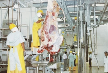 El gobierno adoptó el plan de ordenamiento de la cadena cárnica bovina que es la hoja de ruta para los siguientes 20 años. Foto: agronegocios.co Carne en frigorífico