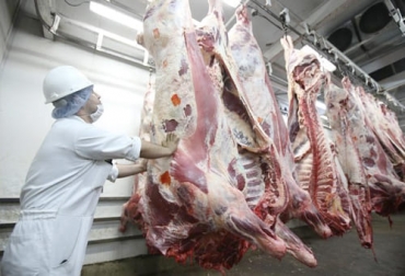 Al cierre del primer trimestre del año se dejaron de sacrificar más de 100 mil animales en relación el mismo periodo de 2021, que significa una caída de 12,1 %. Foto: blog.croper.com sacrificio de ganado bovino en colombia en primer trimestre de 2022