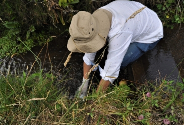 El invento permite medir en el agua el pH (nivel de acidez), el oxígeno disuelto (cantidad de oxígeno en el agua), el color aparente (sustancias disueltas en el agua), la temperatura, la turbidez (pérdida de transparencia), entre otros aspectos. Foto: agenciadenoticias.unal.edu.co Sondas artesanales para medir contaminación del agua
