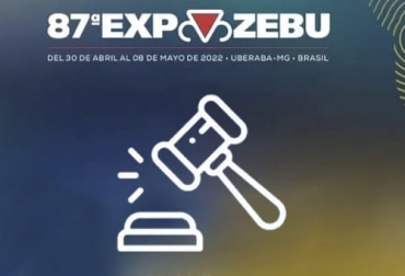 Durante una de las subastas de Expozebu 2022 una vaca alcanzó un precio de 7,98 millones de reales. Foto: facebook.com/ecosdelagro Durante ExpoZebu 2022 se realizan subastas con resultados destacados