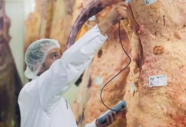 Con un robusto programa de trazabilidad es como la carne colombiana podrá llegar a mercados de alto valor como Estados Unidos y China. Foto: thefoodtech.com trazabilidad bovina exportacion carne Colombia