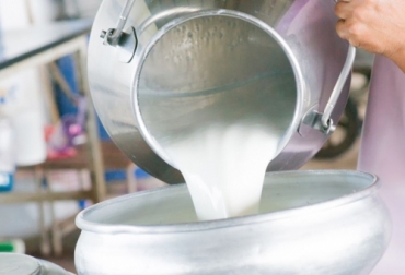 Por tercera vez en la historia, en mayo de 2022 se superaron los 300 millones de litros acopiados mensualmente, algo que no se veía hace 4 años. Foto: sectorial.co acopio y precio de leche en mayo de 2022