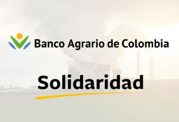 La alianza entre el Banco Agrario y Solidaridad Network permitirá que los productores obtengan otro ingreso por la captura de carbono. Foto: bancoagrario.gov.co - solidaridadsouthamerica.org - sostenibilidad.com Alianza Banco Agrario y Solidaridad Network