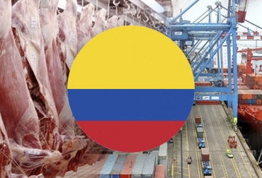 Colombia espera llegar a exportaciones de carne y ganado en pie por US$1.500 millones en 20 años según el Plan de Ordenamiento Productivo de la cadena. Foto: diariohoy.net - De Frente Al Campo Carne y puerto