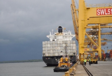 “Los mercados farmacéuticos demandan mucosas y cálculos biliares de los bovinos. Un kilo de este último puede estar en el mercado a $11 millones”: Oscar Cubillos. Foto: Fedegán Colombia exportaría mucosas bovinas