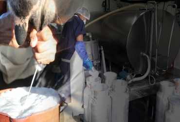 En los primeros 4 meses del 2022 el acopio de leche en departamentos de la región 2 ha tenido un resultado notable comparado con el de años anteriores. Foto: freejpg.com.ar - asproleso.blogspot.com acopio de leche en Colombia en 2022