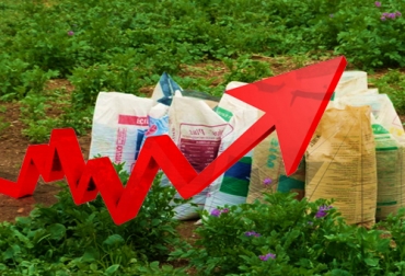 En mayo el precio de los insumos agropecuarios continuó con su tendencia alcista, con el impacto que ello tiene en los costos de producción. Foto: elnacional.com Insumos agropecuarios al alaza
