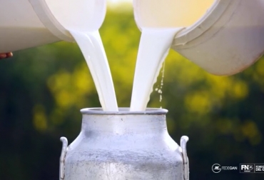 “Altos precios de la leche y escasez de derivados lácteos, podrían estar resintiendo la demanda”, Roger Martens. Foto: Fedegán leche