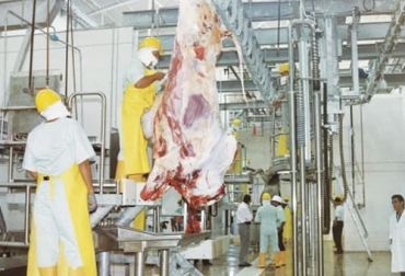 El mejoramiento de la productividad en la cadena cárnica bovina para aumentar eficiencia y bajar costos es un propósito nacional. Foto: agronegocios.co Cadena cárnica