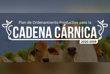El fortalecimiento de la demanda interna es uno de los propósitos del Plan de ordenamiento productivo de la cadena cárnica bovina. Foto: upra.gov.co Plan de ordenamiento productivo de la cadena cárnica bovina