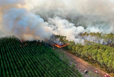 Las altas temperaturas que se registran en diferentes países hará que la producción de cereales no crezca y los precios se mantengan altos. Foto: lanacion.com.ar Incendios