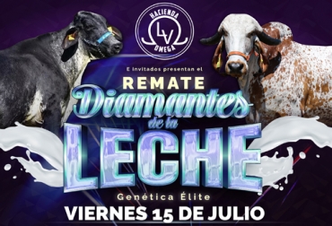 La alianza TVGan y Ricardo Barreneche tendrá una primera subasta de animales élite el próximo 15 de julio. Foto: Cortesía Afiche promocional remate ganadero