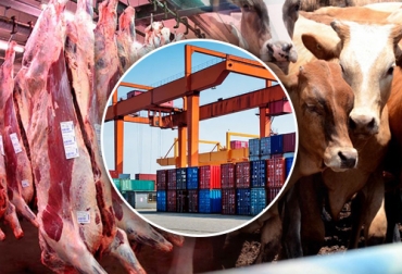 El volumen de las exportaciones de ganado en pie hasta el quinto mes de 2022 fue casi un 70 % más alto que el de enero-mayo de 2021. Foto: uexternado.edu.co - agrolink.com.ar - maravillastereo.com exportaciones de ganado y carne de mayo de 2022