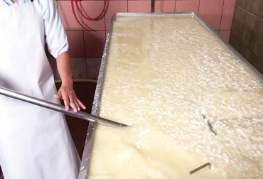 Según la SIC las multas que deberían cubrir las compañías oscilarían a los 100.000 salarios mínimos mensuales vigentes por cada conducta, o incluso mayores. Foto: Cortesia Adulteración de leche con lactosueros