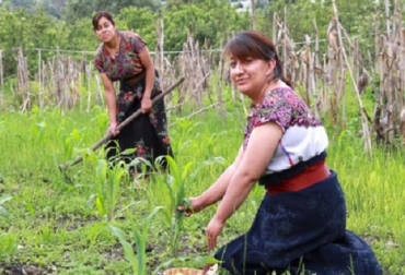 Es necesario adoptar medidas para mantener la producción de alimentos haciendo que los fertilizantes sean más accesibles y asequibles. Foto Grupo Banco Mundial Mujeres trabajando el campo