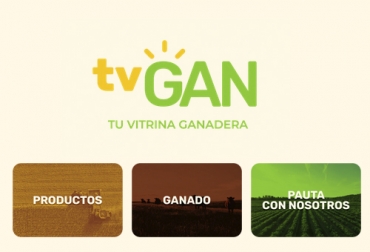 En agosto TVGan realizará varias subastas ganaderas, además de la venta con descuento de sillas de montar y semillas. Foto: tvgan.com.co TVGan