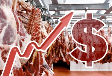 Aunque en el último mes y medio el valor promedio del ganado gordo que se comercializa en subasta ha caído, el precio de venta de la carne sigue alto. Foto: ganaderia.com - CONtexto ganadero precio carne de res Colombia 2022