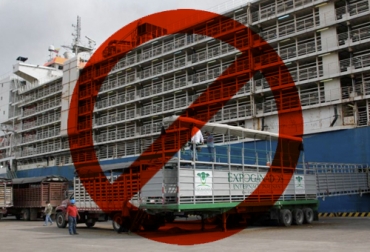 El reclamo de los productores es por los graves efectos económicos que traería la entrada en vigor de esta iniciativa en momentos donde las exportaciones de ganado son las más altas de los últimos 13 años. Foto: eluniversal.com.co paro de ganaderos ante proyecto de ley que prohibe exportaciones